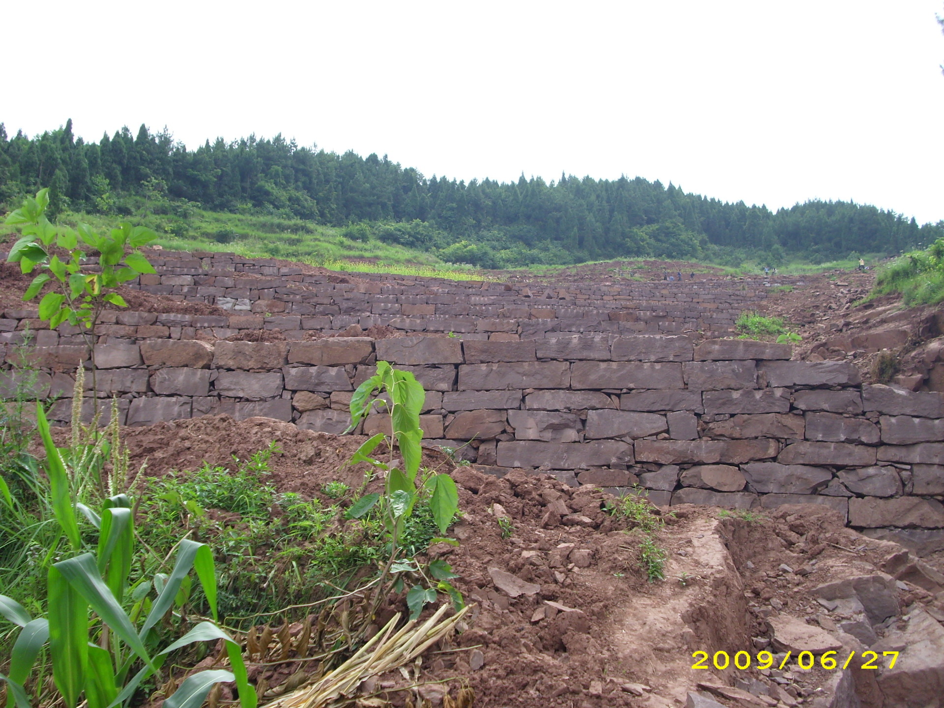 重庆丰都江池土地整治工程